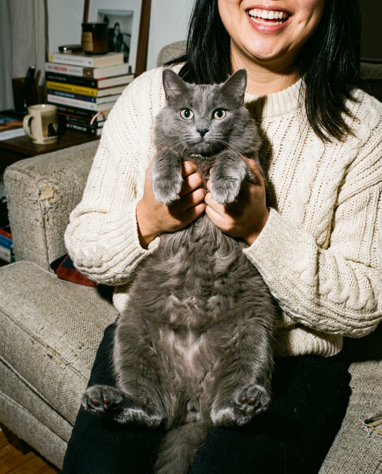 Meawys editorial photograph accompanying Cat Hiding When Guests Arrive: A Comfort Plan
