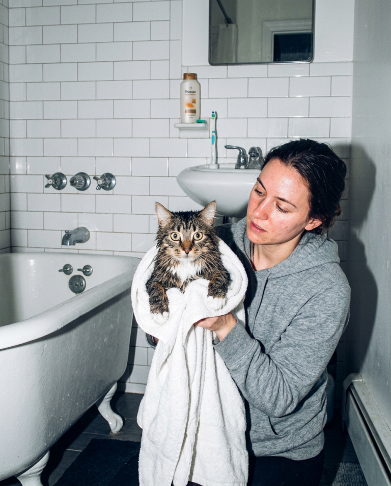 Meawys editorial photograph accompanying Cat Scared of the Vacuum Cleaner: Desensitization
