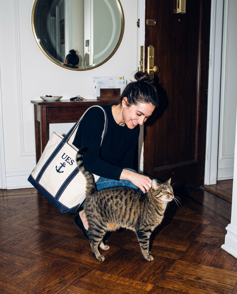 Meawys editorial photograph accompanying Two Cats Competing for Toys: Better Play Sessions