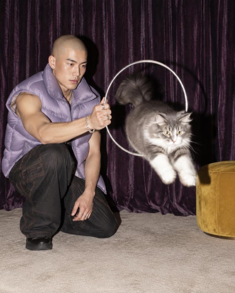 Meawys editorial photograph accompanying Older Cat Yowling at Night: What to Check