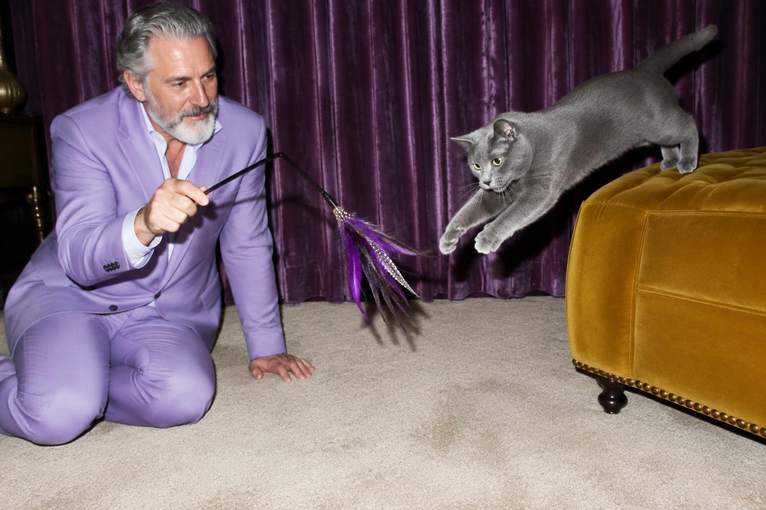 Cat Enrichment While You're at Work
