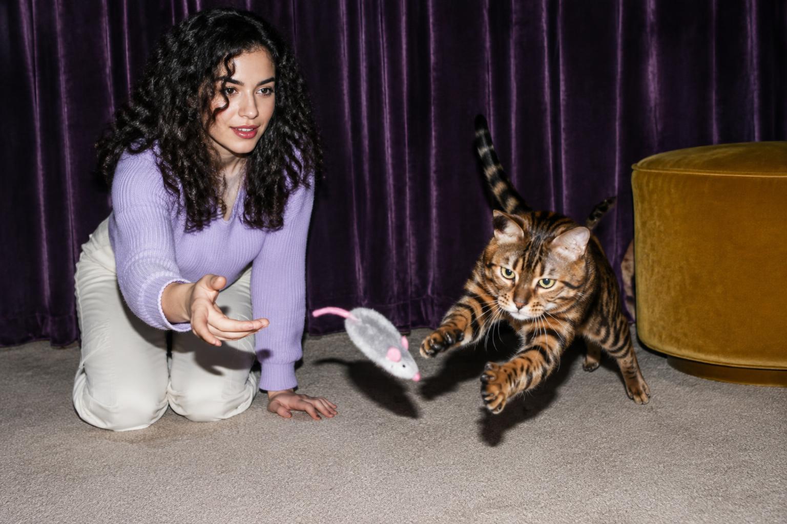 Rainy-Day Indoor Activities for Cats