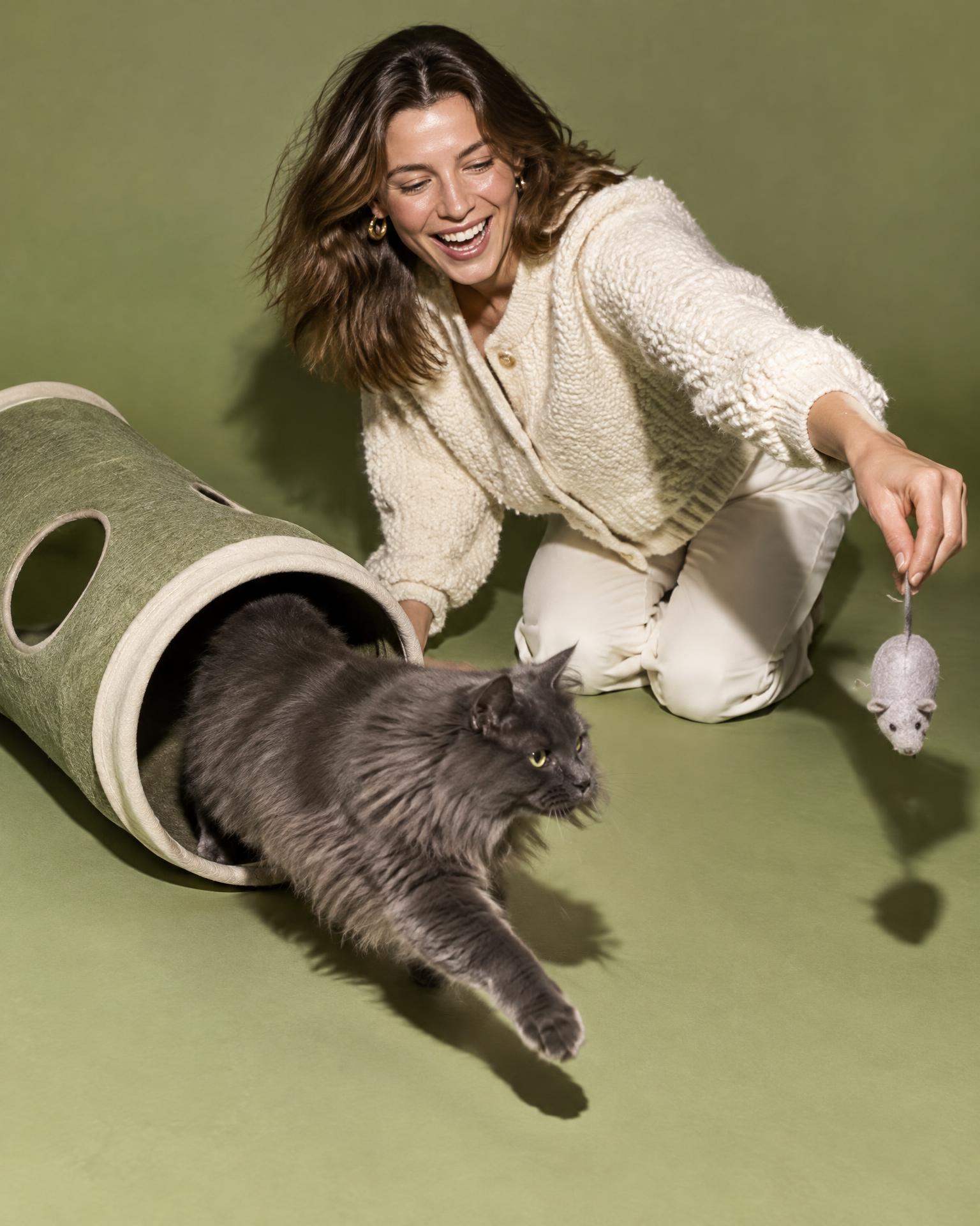 A person playing with a cat using a toy