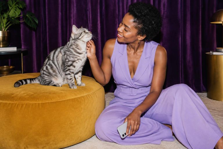 Meawys cat training editorial image accompanying An Evening Play Routine for a Restful Kitten