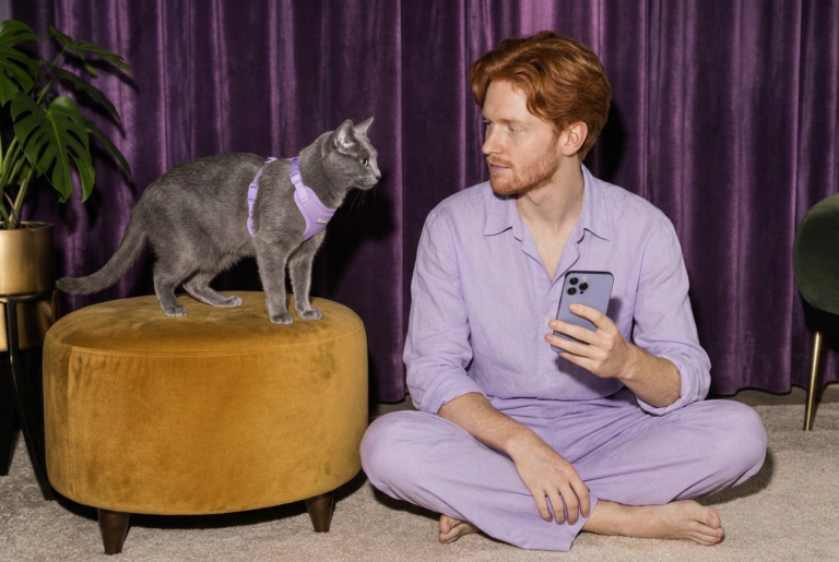 Meawys cat training editorial image accompanying Kitten Socialization Without Stress