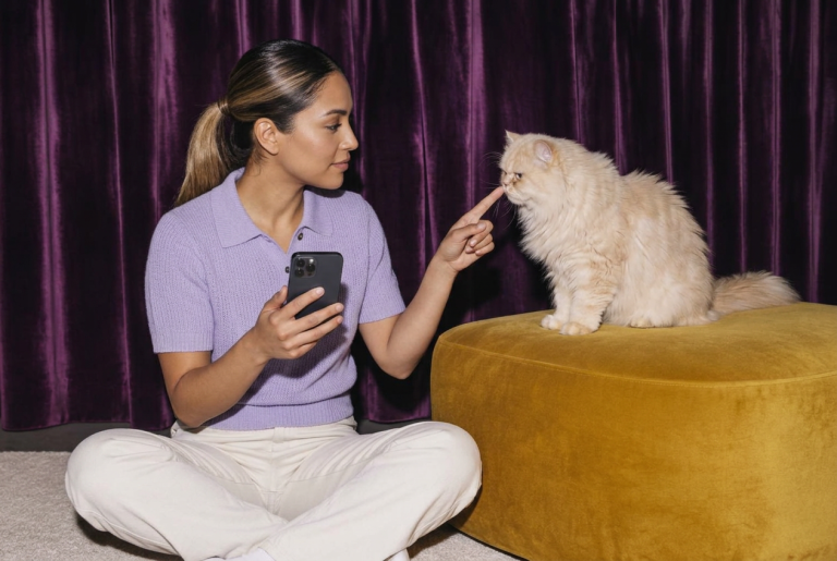 Meawys cat training editorial image accompanying Kitten Biting Hands During Play