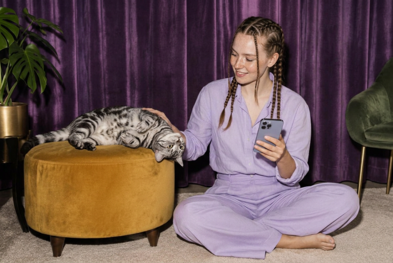 Meawys cat training editorial image accompanying Adopted Adult Cat: The First Week at Home
