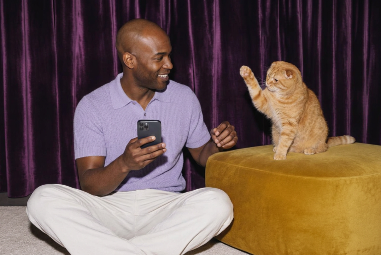 Meawys cat training editorial image accompanying Helping a Cat Settle Into a New Apartment