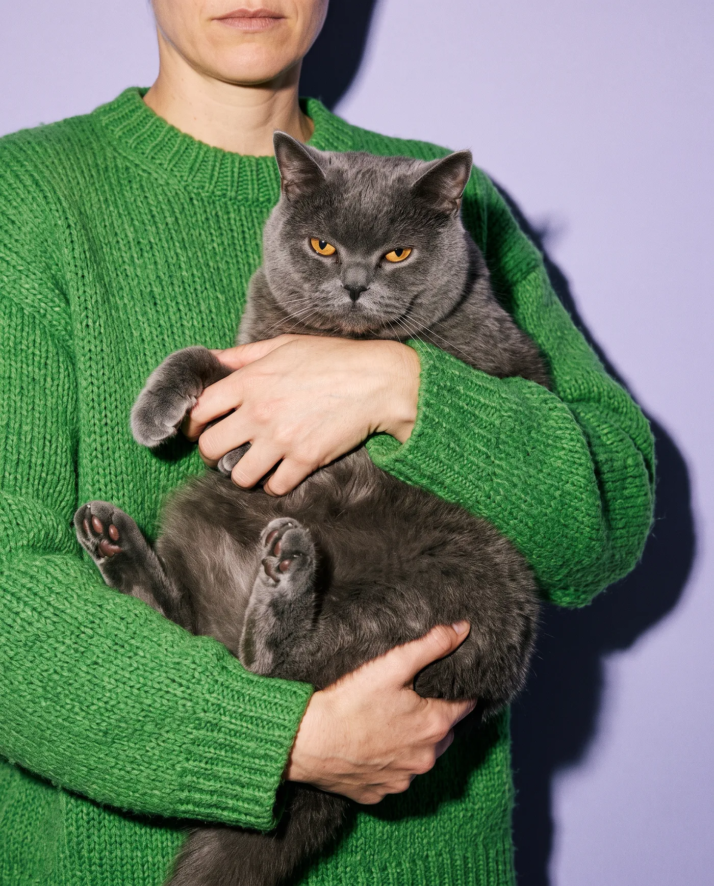 A person in a green sweater holding a grey cat